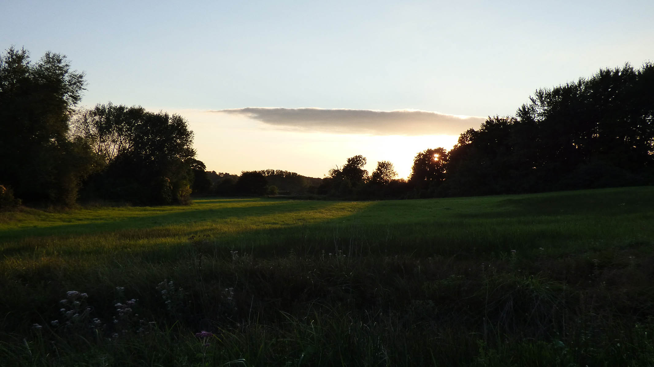 Le GOUY (8 avril 2016)